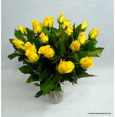 Bukett med gula rosor