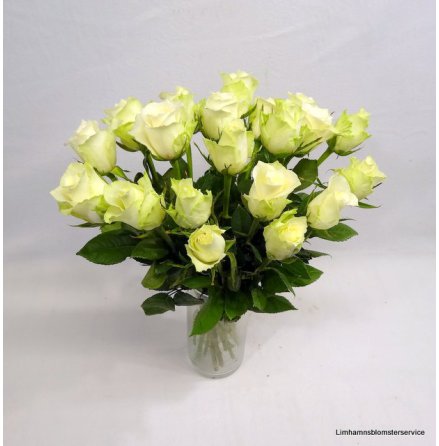 Bukett med vita rosor