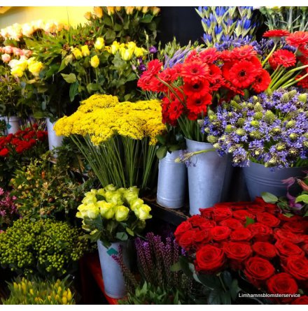 Floristen skapar av dom finaste blomster f�r dagen